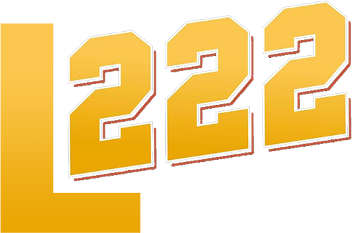 bdl222.com Logo